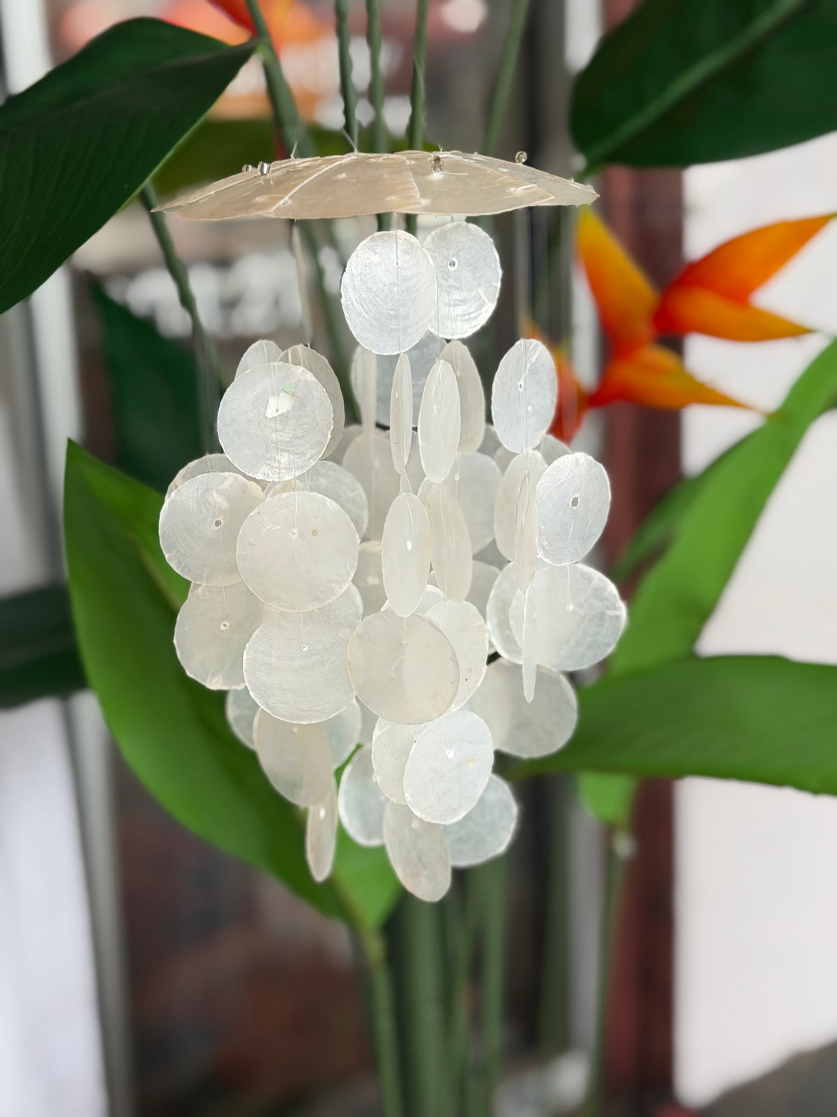 Capiz Pearl Wind Chime