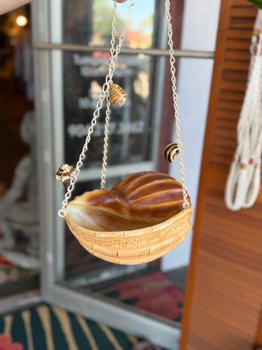 Coastal Seashell Hanging Planter